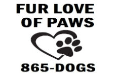 Photo of Fur Love of Paws LLC, Dog Grooming Photo of Fur Love of Paws LLC, Dog Grooming